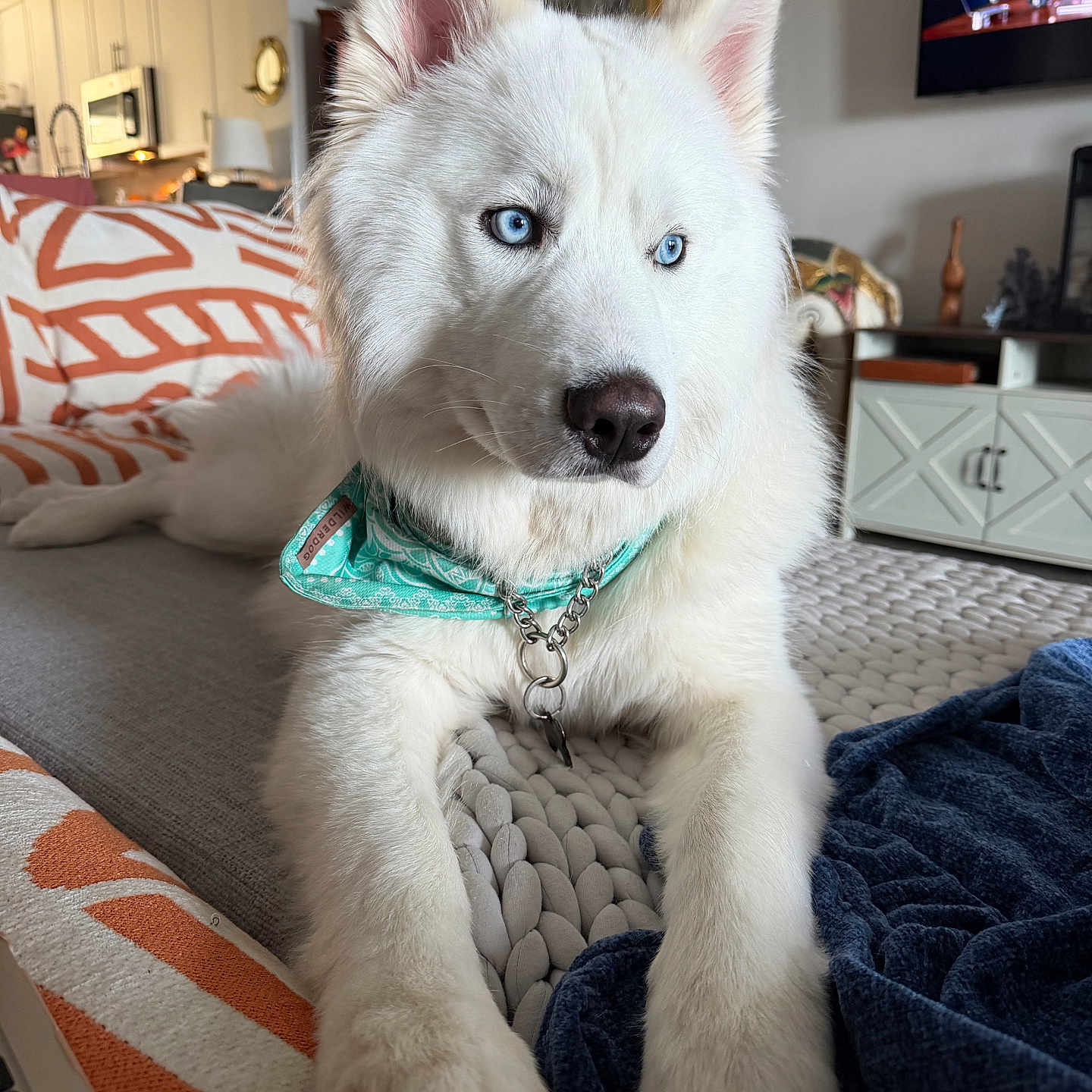 Casper