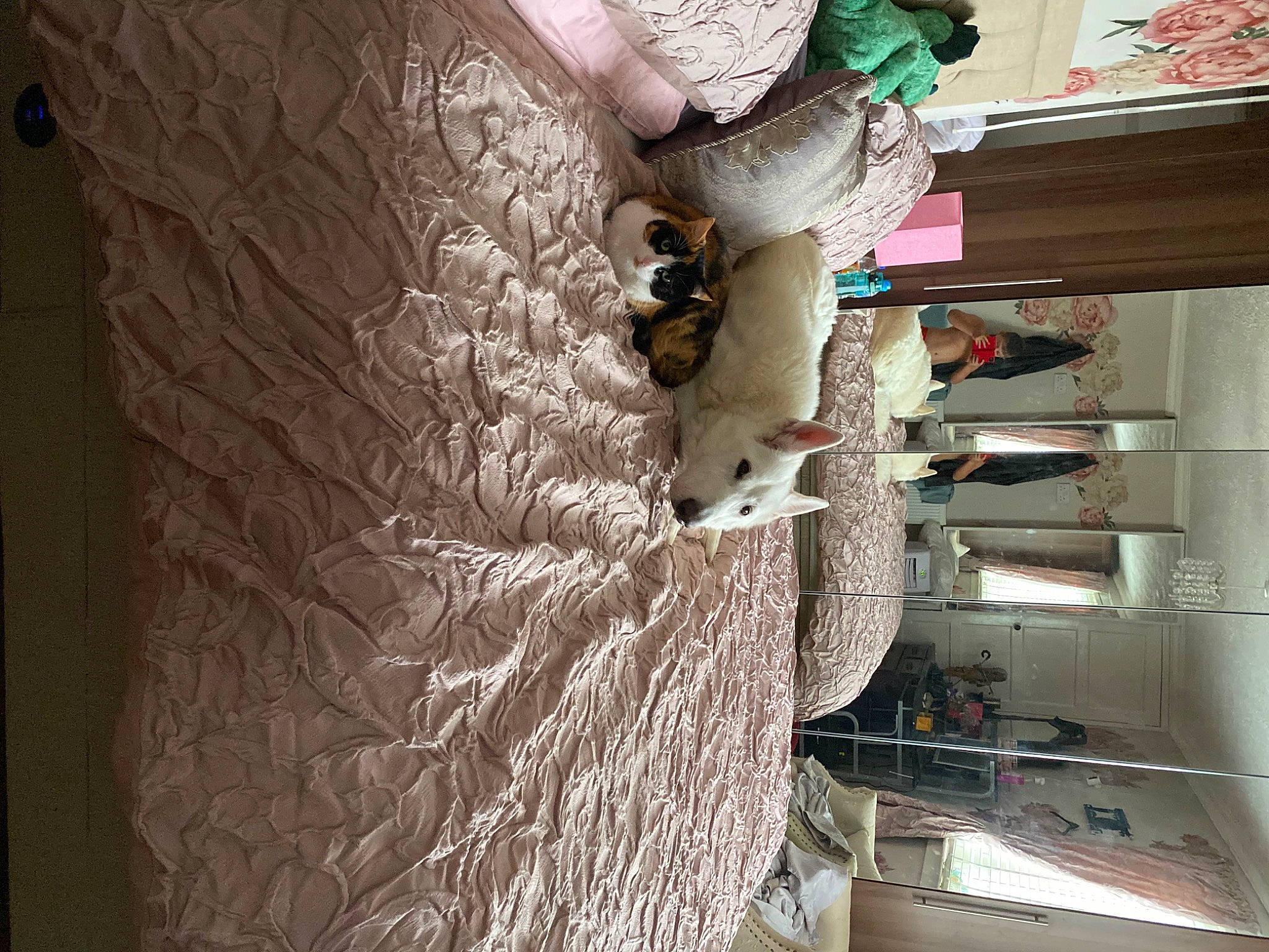 Hopscotch is registered to the contest to win money with this photo: building, ceiling, fur, hardwood, plaster, room, stairs, textile, tree, visual_arts, wood