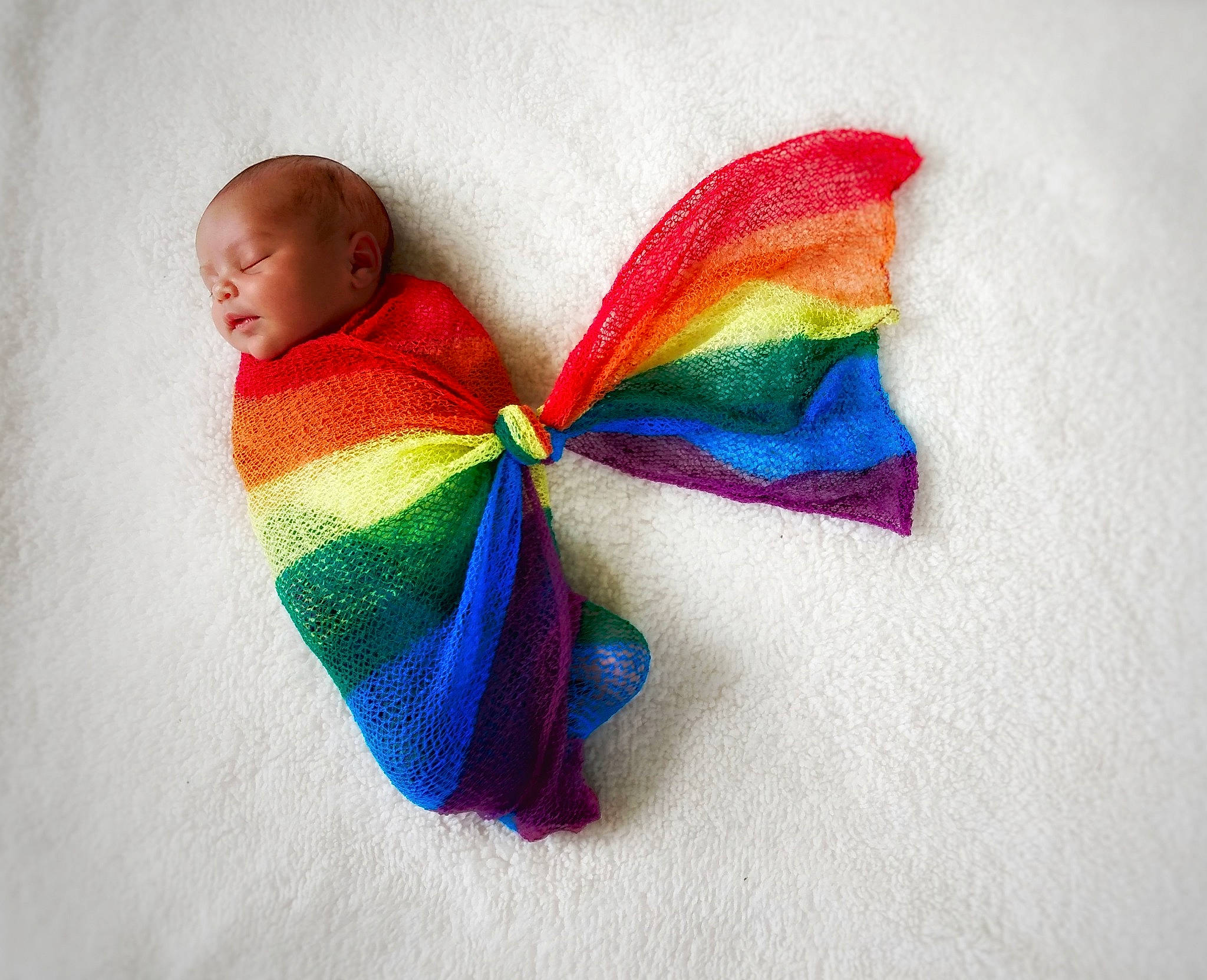 Zola joined the competition — help win amazing prizes! bow_tie, child, hair_accessory, hair_tie, person, toddler, turquoise, wool