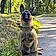 Ares