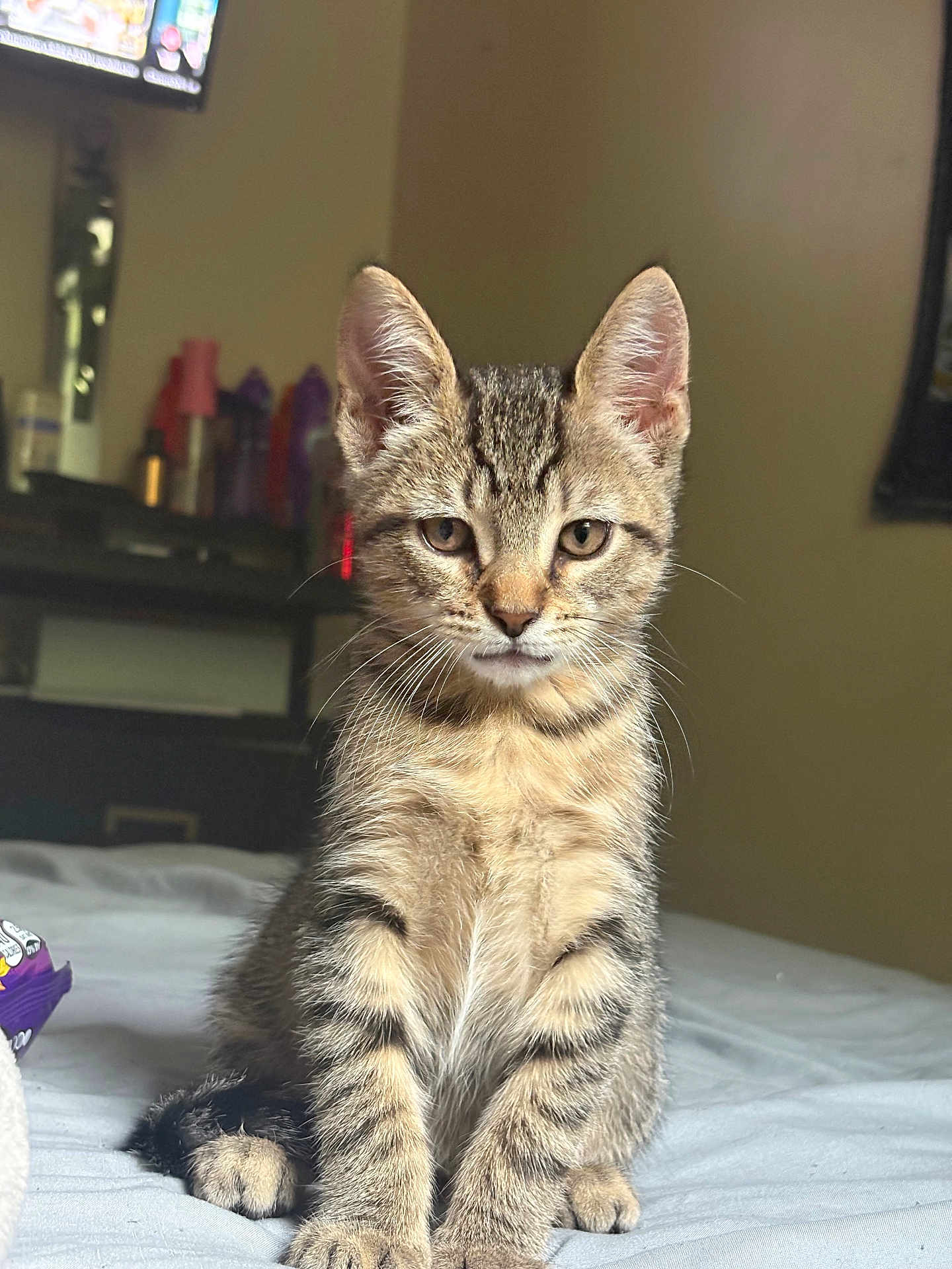 Walter