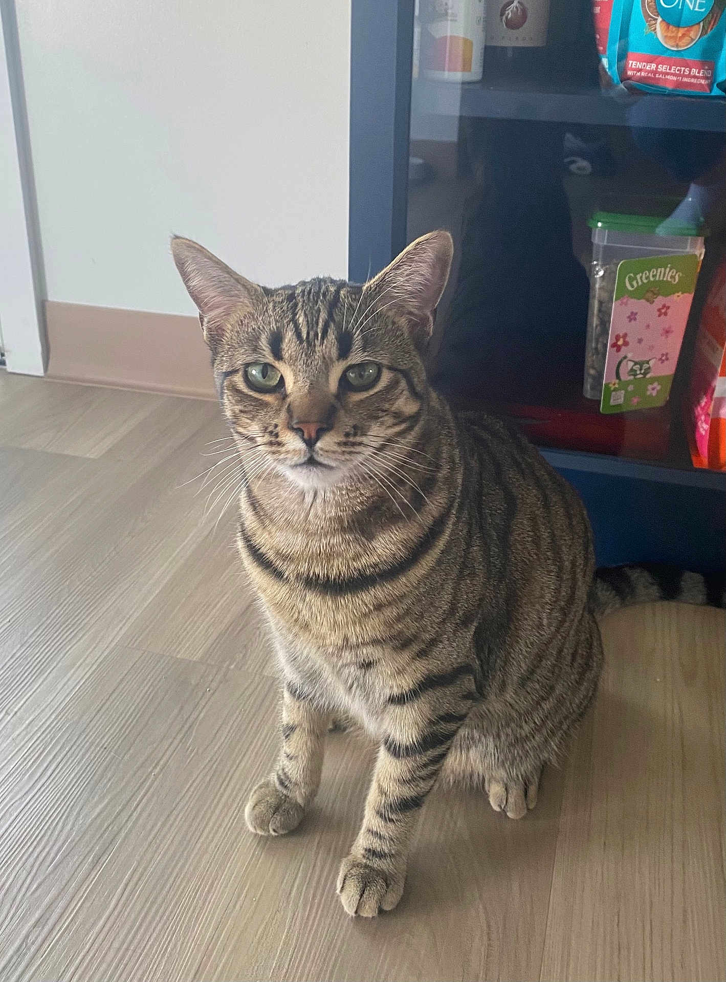 Max