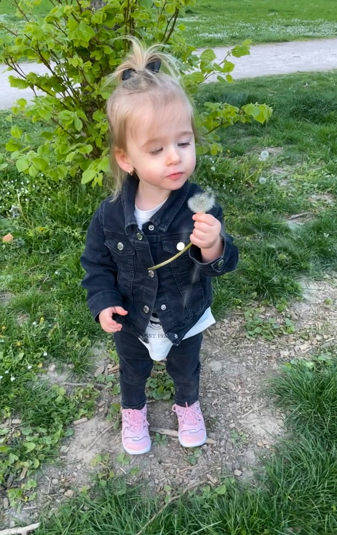 Chéryl a rejoint le concours — aidez-le/la à gagner de superbes lots ! baby, baby_toddler_clothing, child, eye, face, garden, grass, grass_family, head, lawn, pattern, people_in_nature, person, plant, sitting, sleeve, soil, terrestrial_plant, toddler, vacation