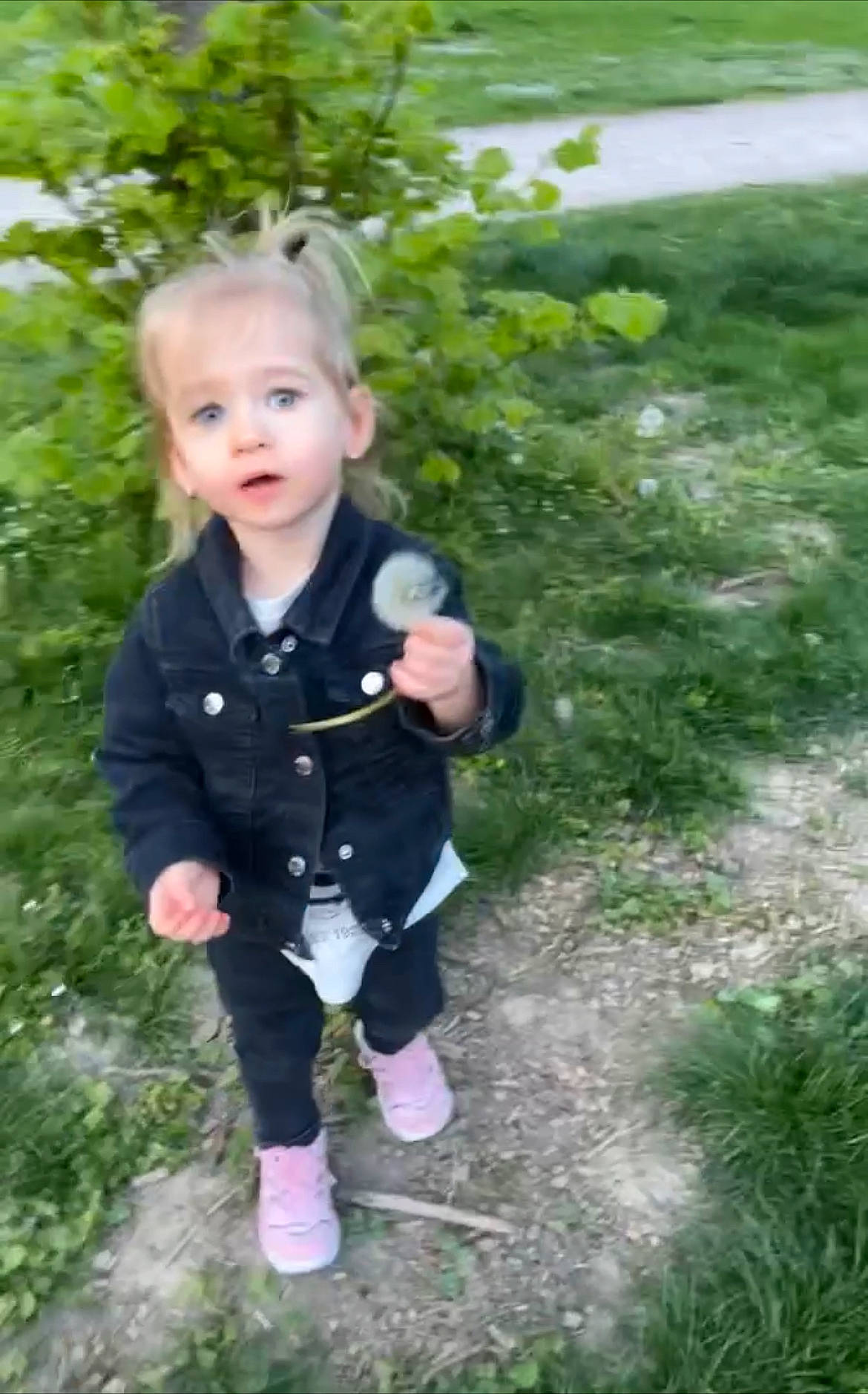 Chéryl participe au concours pour gagner de l'argent avec cette photo : baby, baby_toddler_clothing, child, eye, fun, garden, grass, happy, lake, people_in_nature, person, plant, sitting, sleeve, smile, soil, suit, toddler, tree, vacation