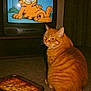 animal, baked_dish, carpet, cartoon, cat, expression, feline, food, garfield, humor, indoor, living_room, orange_cat, orange_tabby, pet, relaxed, retro_tv, sitting, smug, television