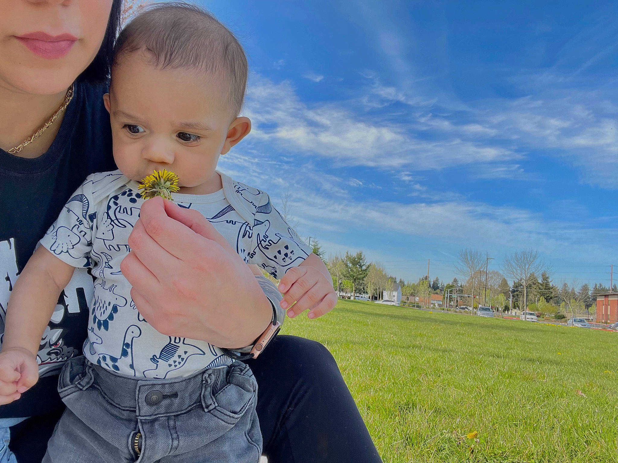 Royal is registered to the contest to win money with this photo: baby, baby_toddler_clothing, child, cloud, frozen_dessert, fun, gesture, grass, hair, happy, leisure, liquid_bubble, nail, people_in_nature, person, sitting, sky, sweetness, t_shirt, toddler