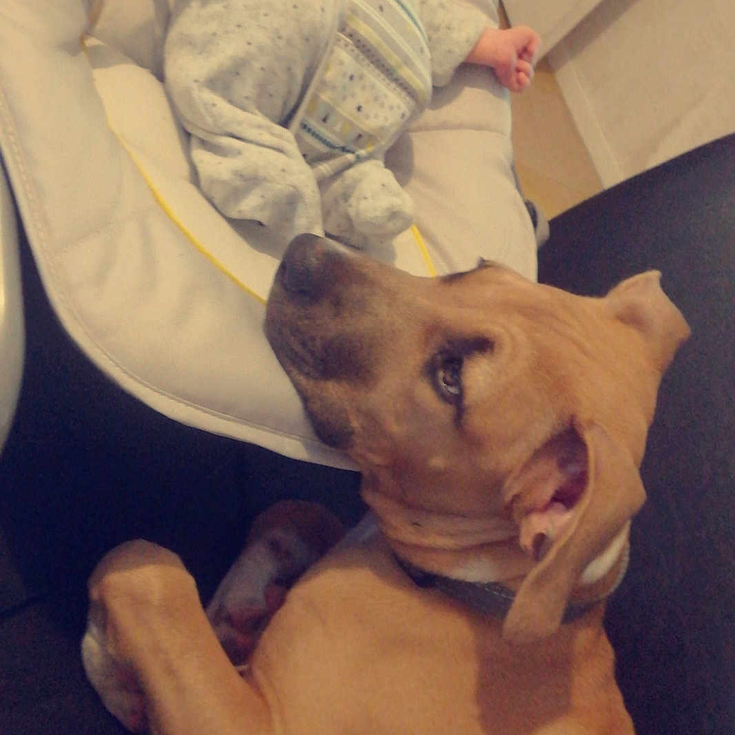 Loca