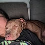 dog, sleeping, person, couch, snuggling, indoor, relaxing, face, pet, animal, comfort, cozy, closeup, brown_dog, casual_clothing, resting, companion, friendship, nap, home