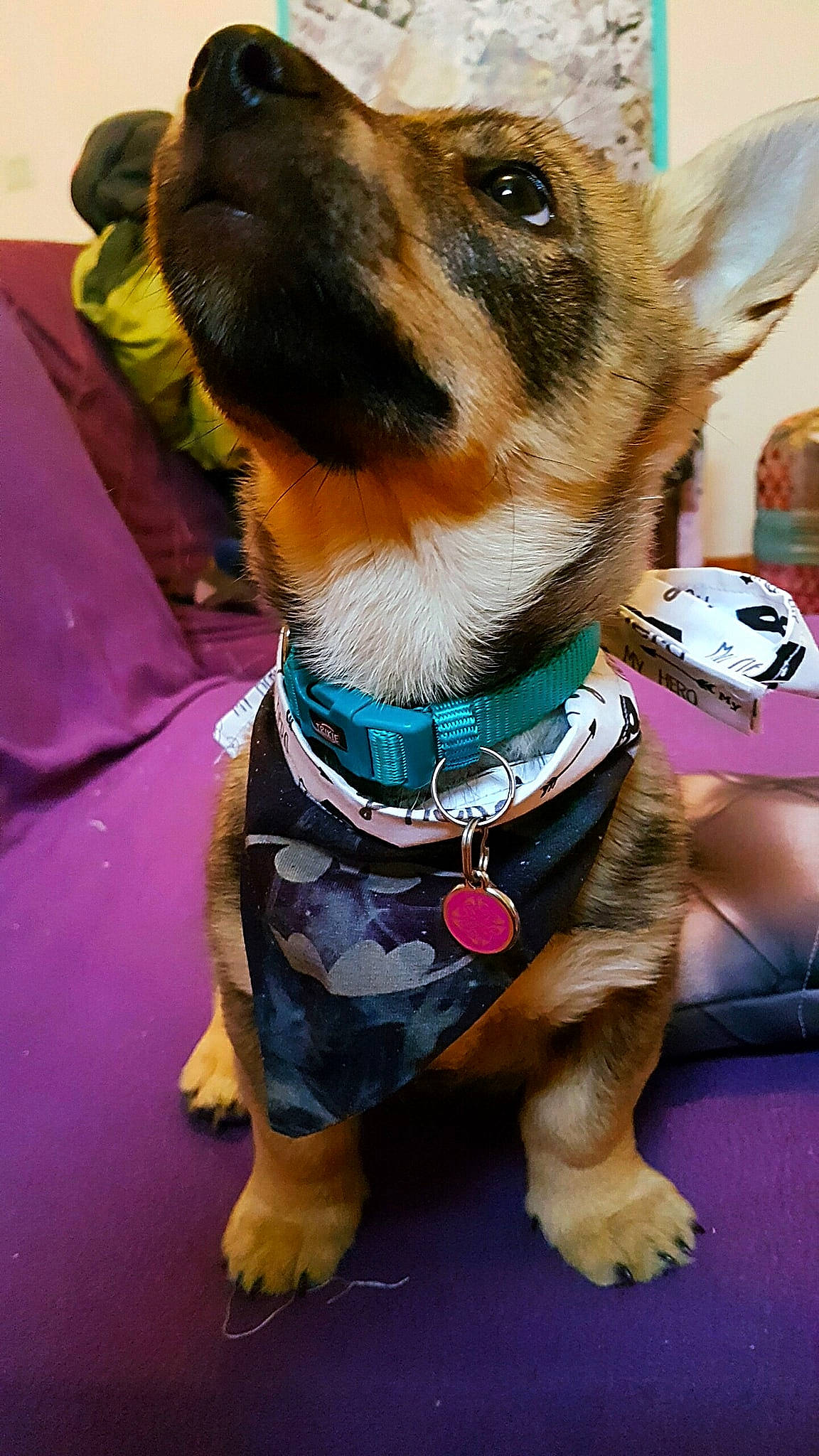 Parthenay Stan Melior