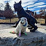 bandana, bronze_statue, building, campus, clouds, cloudy_sky, colorful_tail, dog, dyed_paws, grass, monument, outdoor, pet, rock_platform, sculpture, sitting, statue, trees, walkway, white_fur