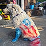 blue_paint, bucket, collar, concrete, daylight, dog, driveway, fur, garage, logs, outdoor, painted_fur, painted_paws, patriotic, plant_pot, red_stripes, shadow, sitting, tail, white_dog