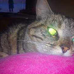 Ma fifille