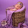 newborn, baby, sleeping, basket, purple, headband, flower, fabric, soft, portrait, infant, rest, cute, peaceful, delicate, tulle, decor, cozy, closeup, studio