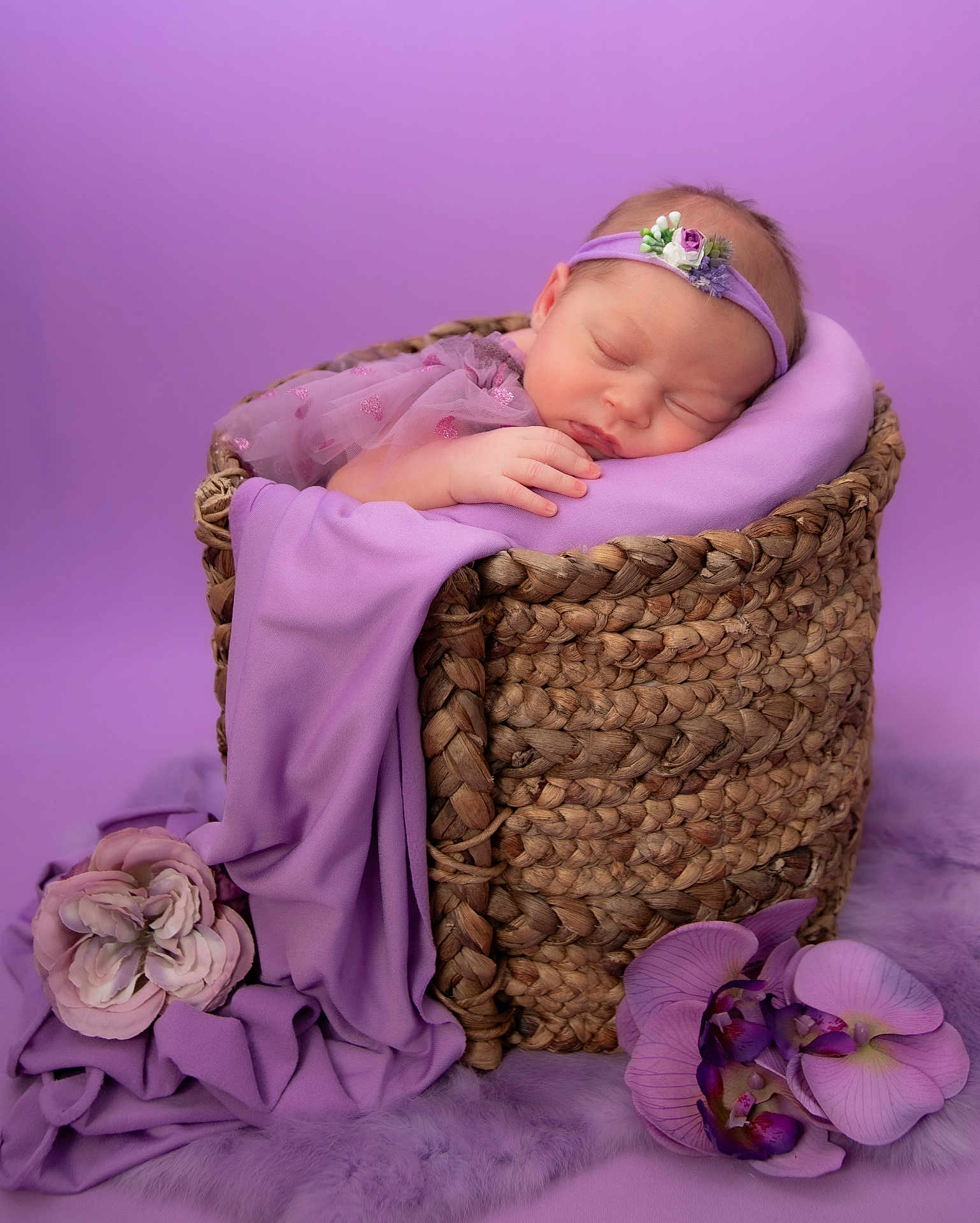 Olivia is registered to the contest to win money with this photo: newborn, baby, sleeping, basket, purple, headband, flower, fabric, soft, portrait, infant, rest, cute, peaceful, delicate, tulle, decor, cozy, closeup, studio