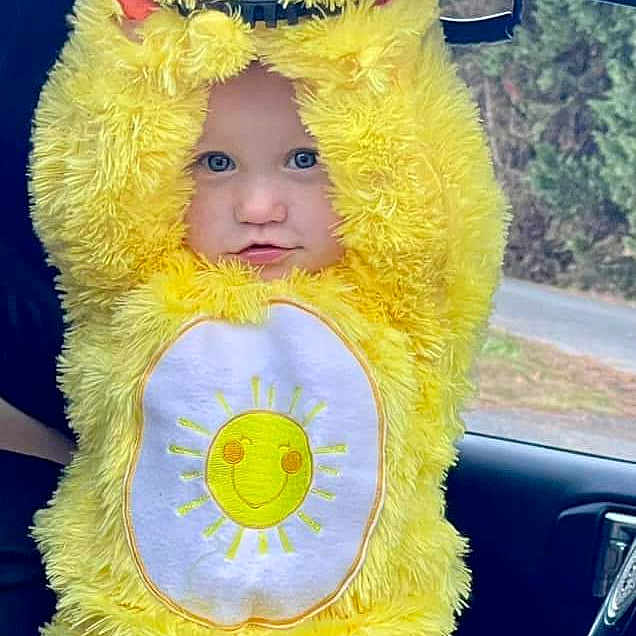 Kambree joined the competition — help win amazing prizes! automotive_exterior, automotive_lighting, automotive_mirror, automotive_window_part, car, costume, eye, face, fun, fur, head, headgear, hood, motor_vehicle, plush, rear_view_mirror, stuffed_toy, vehicle_door, windshield, yellow