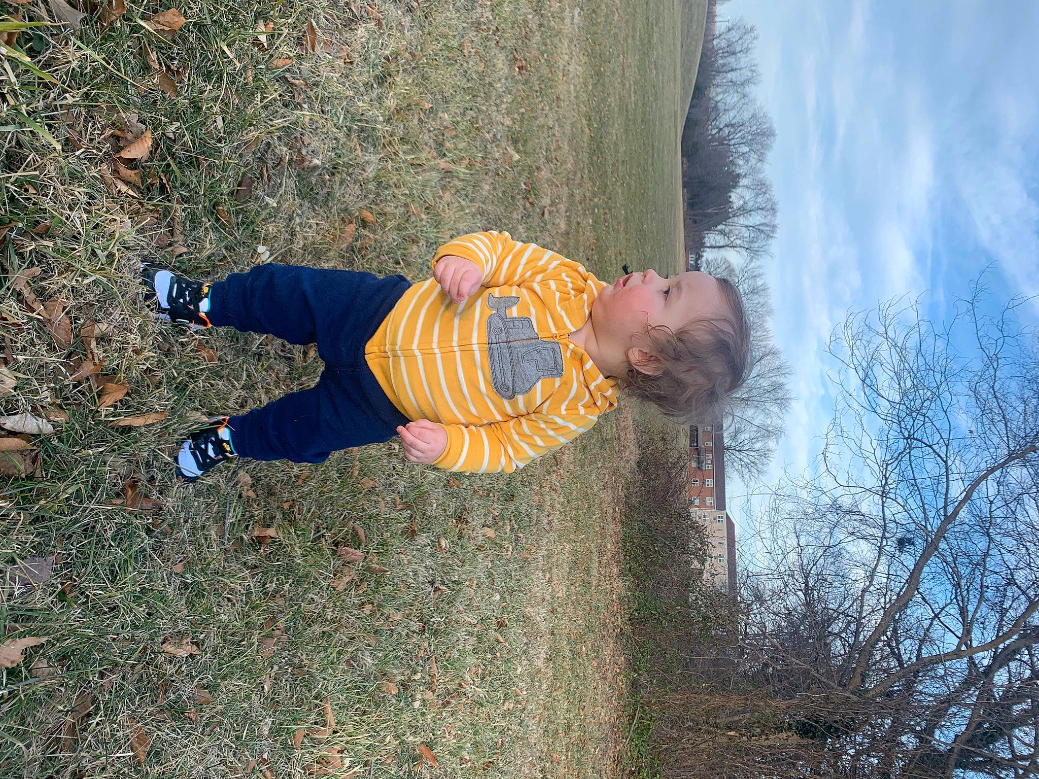 Elián is registered to the contest to win money with this photo: adaptation, child, cloud, electric_blue, fun, grass, happy, leaf, nature, people_in_nature, person, plant, sky, sunlight, tints_and_shades, toddler, tree, trunk, winter, wood