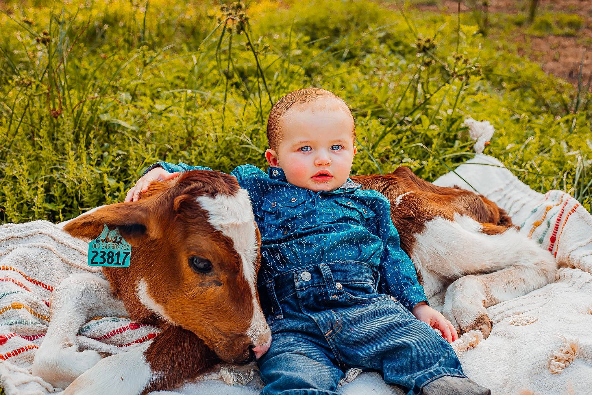 Kolt is registered to the contest to win money with this photo: baby, baby_toddler_clothing, fawn, fun, grass, grass_family, grassland, happy, hat, leaf, leisure, meadow, natural_landscape, people_in_nature, person, photograph, plant, prairie, pumpkin, sitting