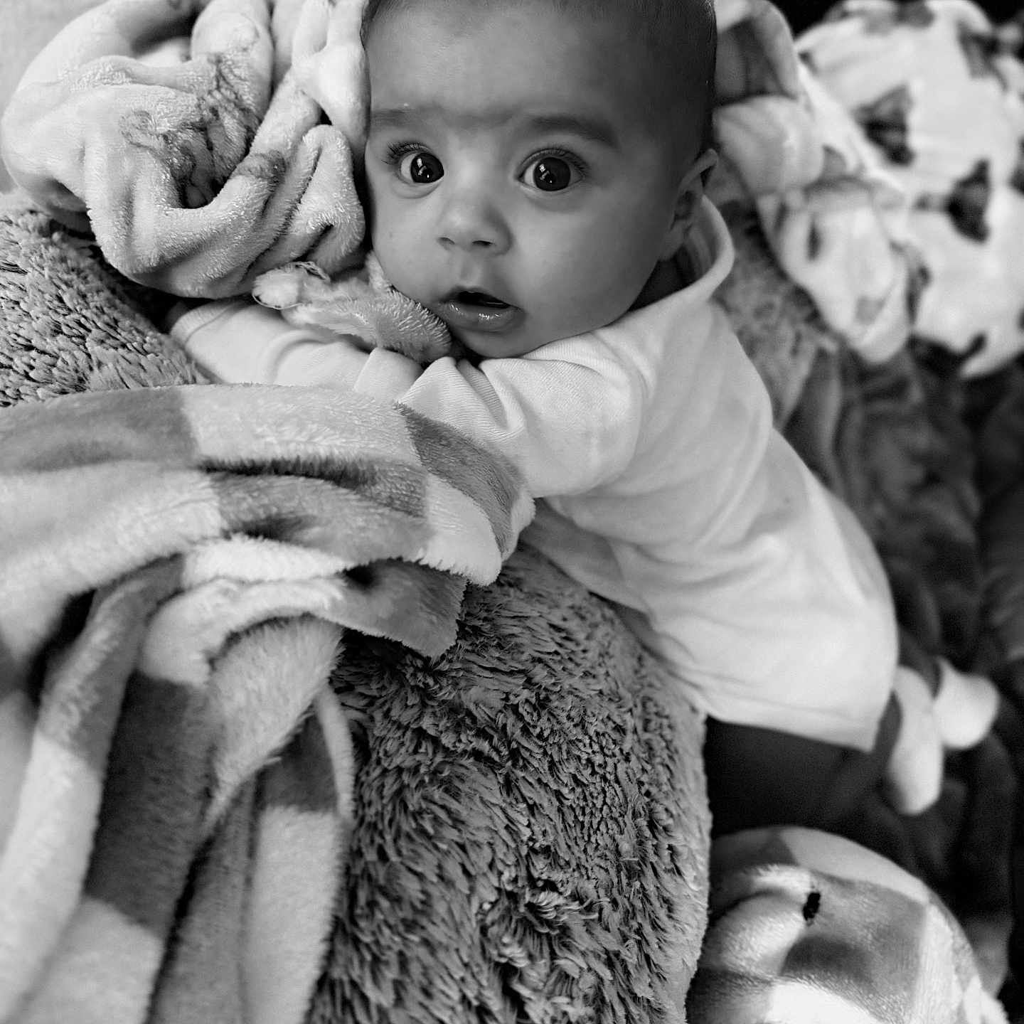 Brysen is registered to the contest to win money with this photo: baby, black_and_white, blanket, cozy, curious, cute, face, fur, indoors, infant, laying, looking, person, portrait, sleepwear, soft, toddler, warm, wide_eyes, young