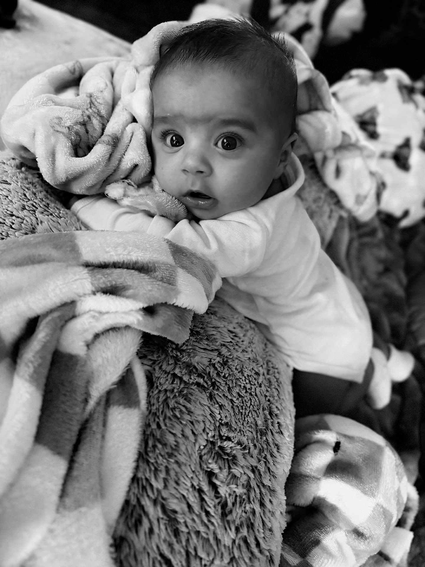 Brysen is registered to the contest to win money with this photo: baby, blanket, black_and_white, cozy, curious, cute, face, fur, infant, indoors, laying, looking, person, portrait, soft, toddler, warm, wide_eyes, young, sleepwear