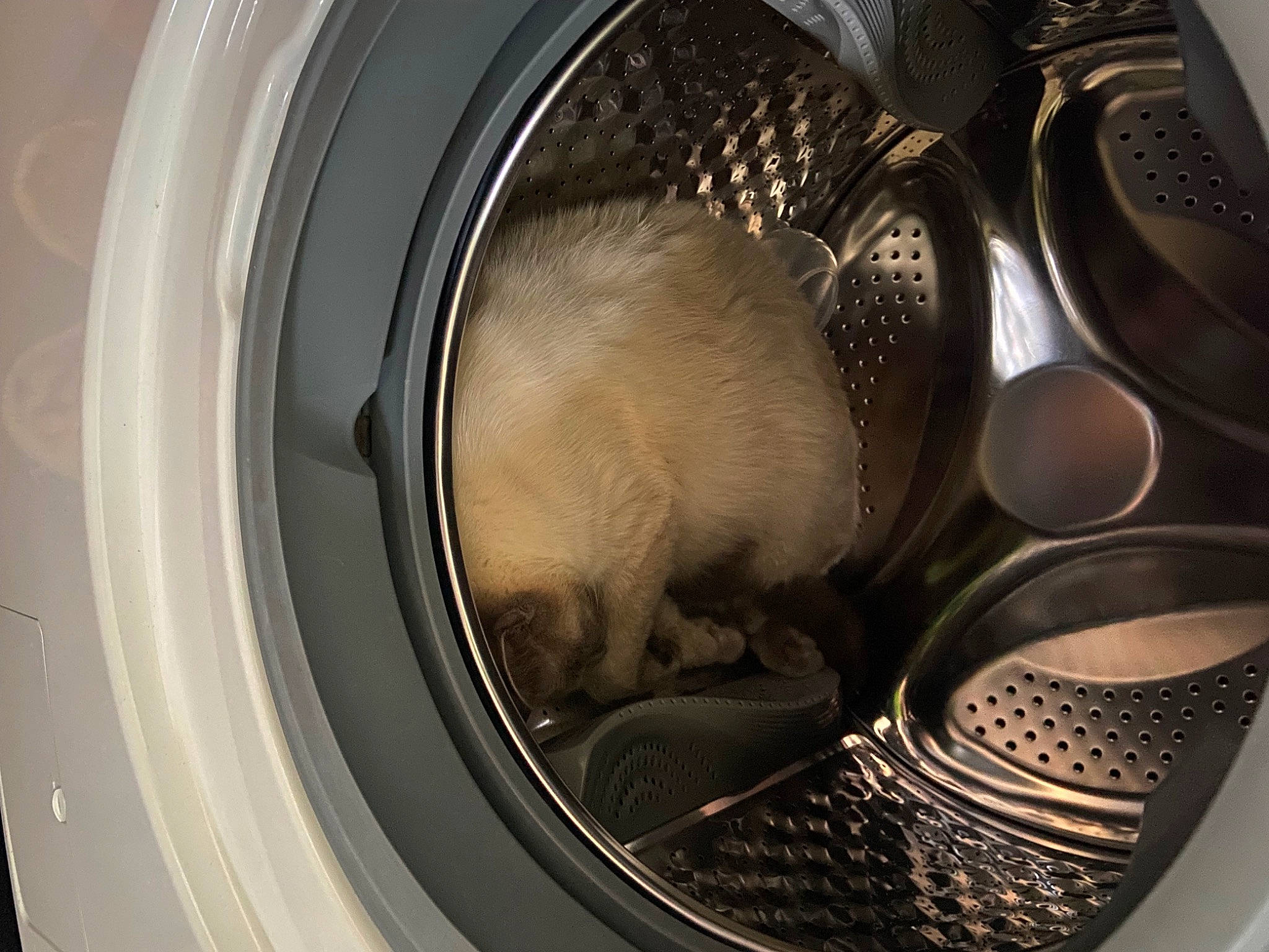 Tinou Chou participe au concours pour gagner de l'argent avec cette photo : alloy_wheel, audio_equipment, auto_part, automotive_design, automotive_lighting, automotive_tire, automotive_wheel_system, circle, hubcap, metal, motor_vehicle, rim, service, spoke, steering_wheel, tire, tread, vehicle, washing_machine, wheel