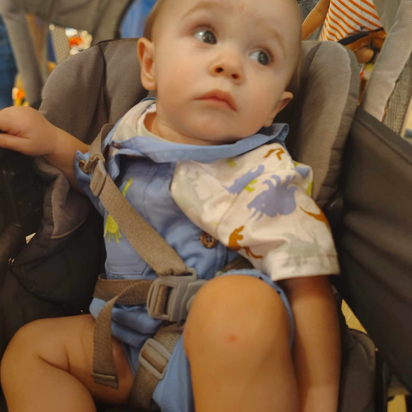 Kenny-Ray is registered to the contest to win money with this photo: accessories, baby, boy, car, car_interior, carseat, child, clothing, face, hat, head, male, pants, person, photography, portrait, strap, stroller, transportation, vehicle