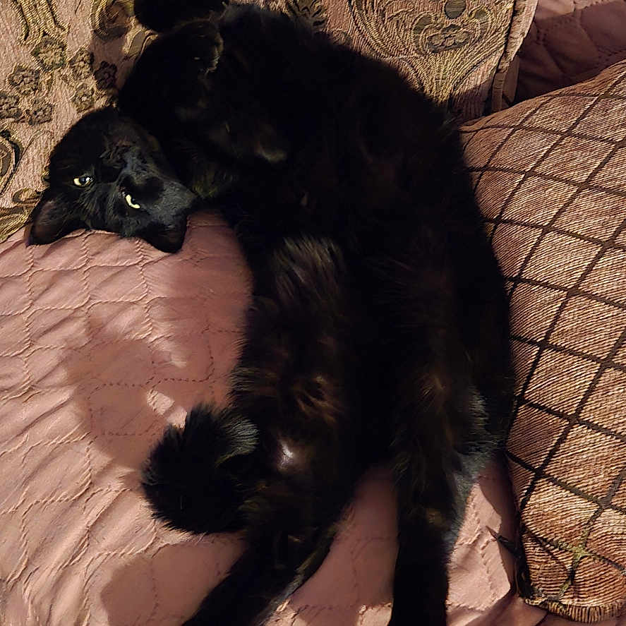 Jackie