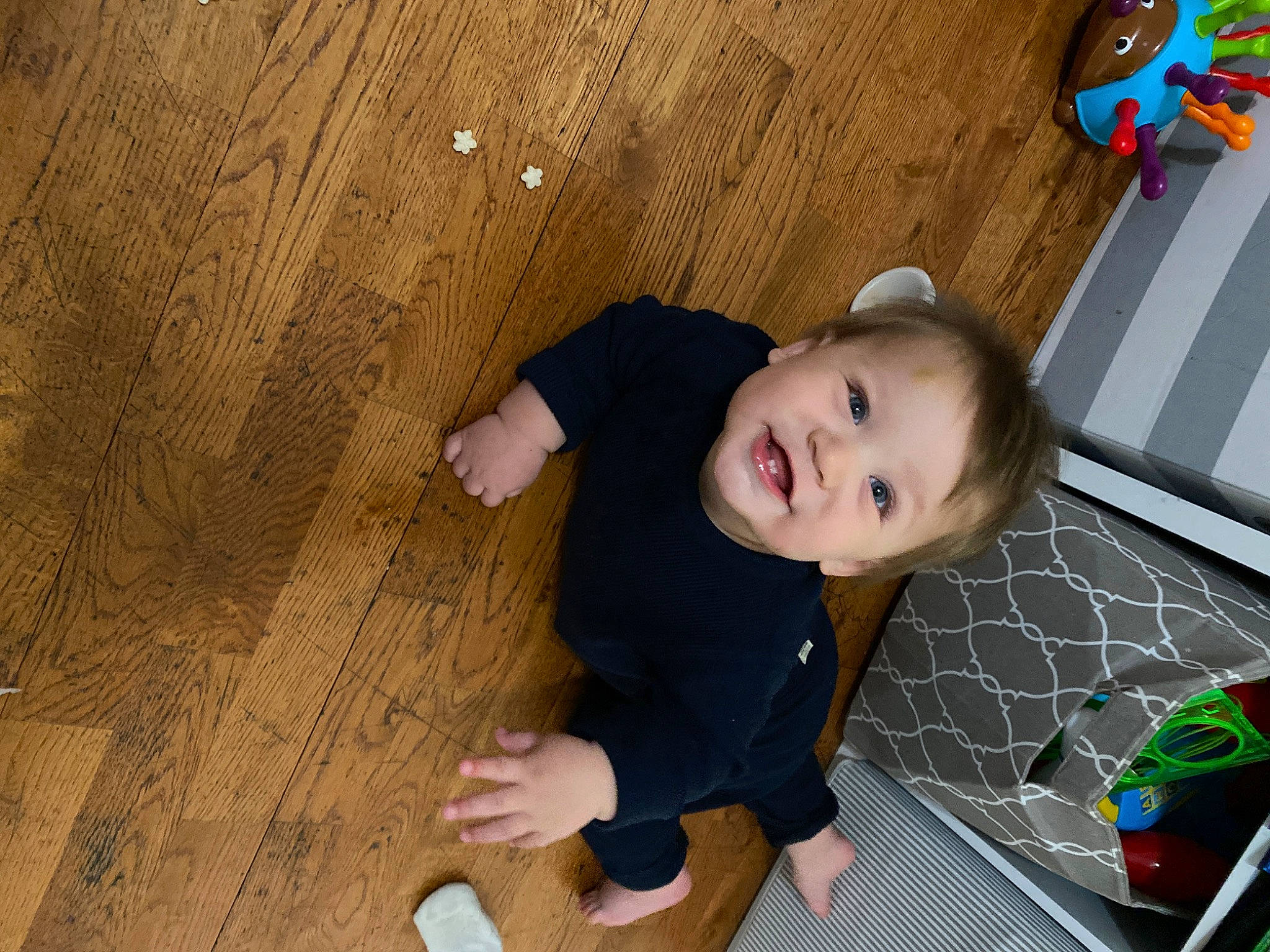 Rayden joined the competition — help win amazing prizes! child, floor, flooring, foot, fun, grass, happy, hardwood, leisure, pattern, person, play, room, sitting, smile, toddler, tree, varnish, wood, wood_flooring