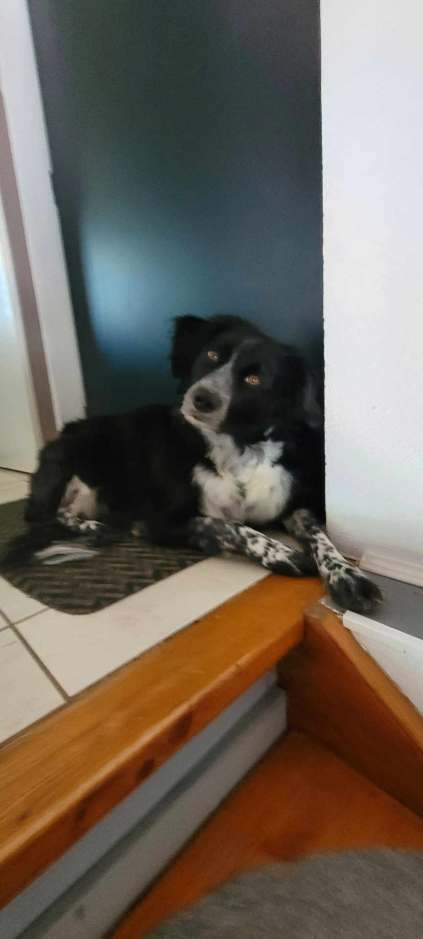 Lili