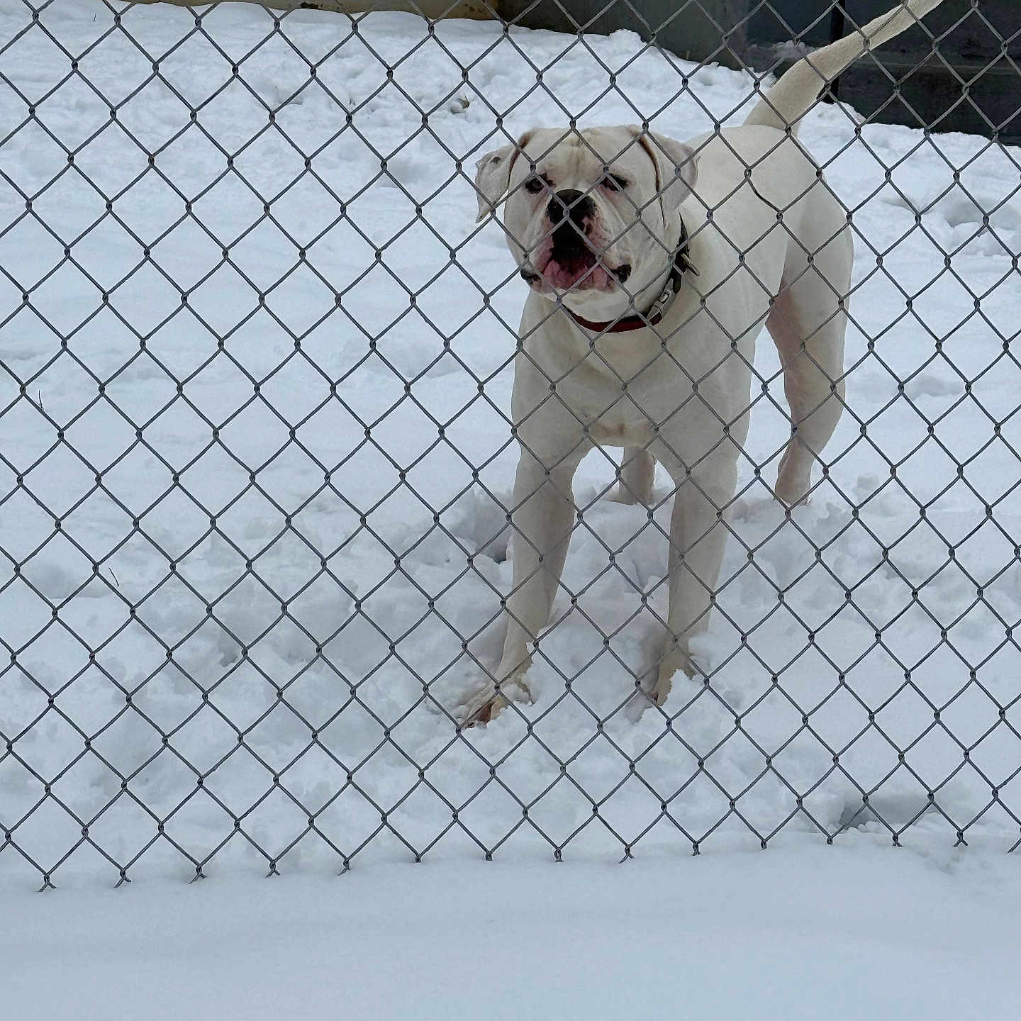 Snow