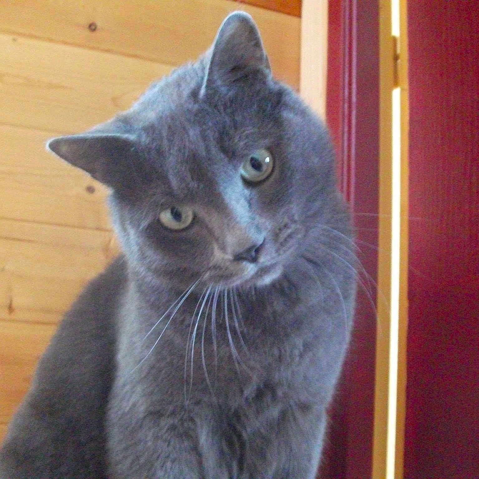 Berlioz