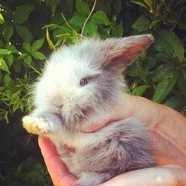 Evie is registered to the contest to win money with this photo: