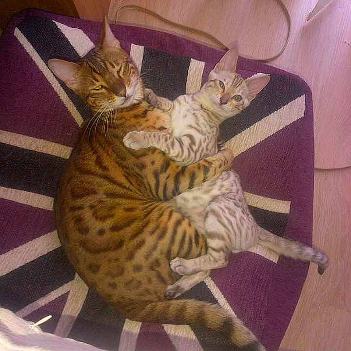 Oscar And Alfie is registered to the contest to win money with this photo: