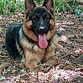 José M.