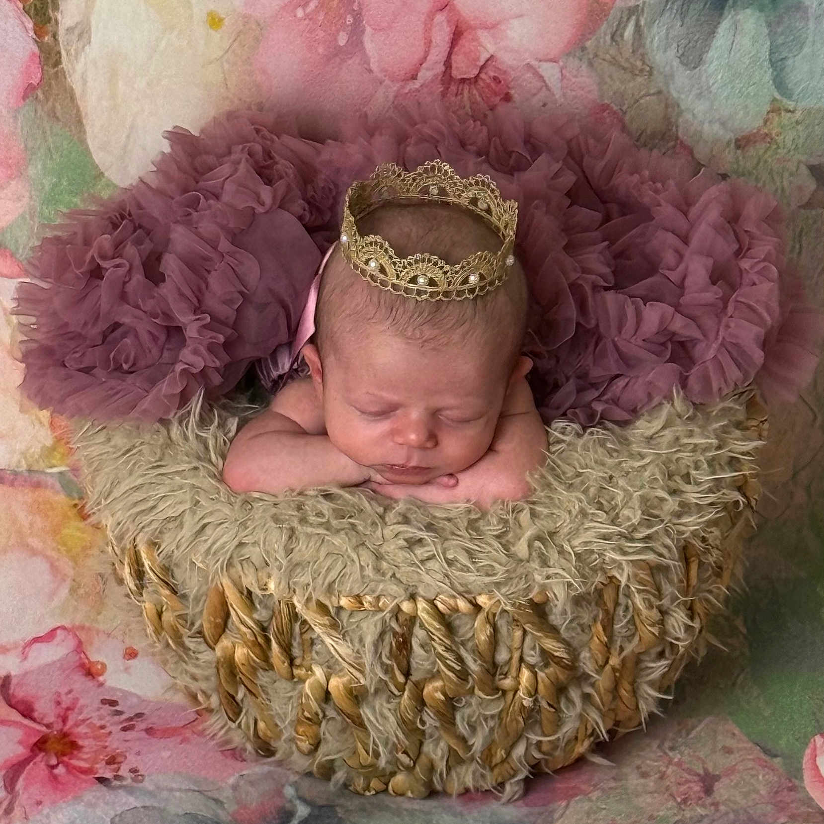 Sophia Grace joined the competition — help win amazing prizes! newborn, baby, sleeping, crown, basket, fluffy, fabric, ruffles, pink, purple, flower, floral_background, portrait, cute, peaceful, resting, infant, soft_texture, decorative, headwear