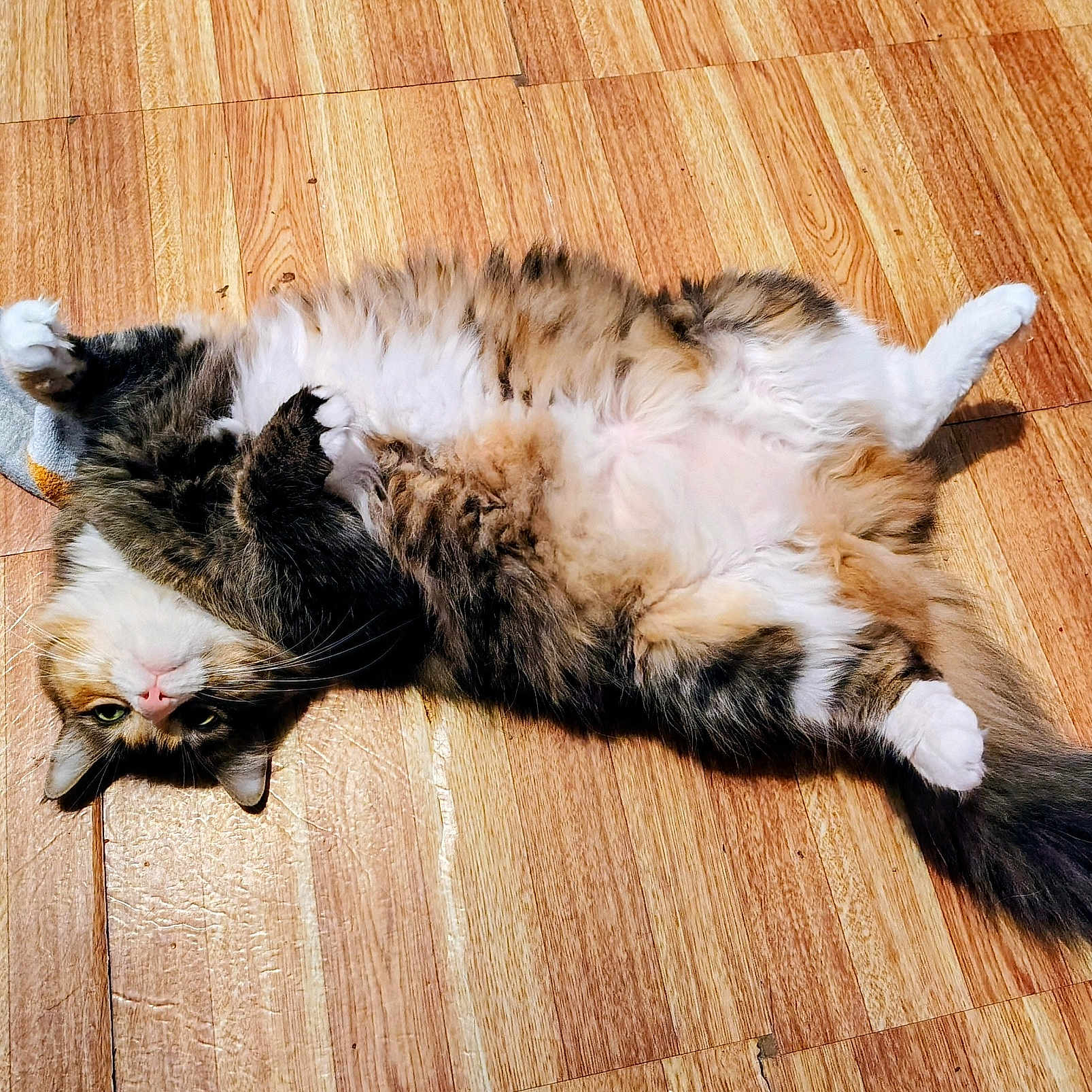 Luna
