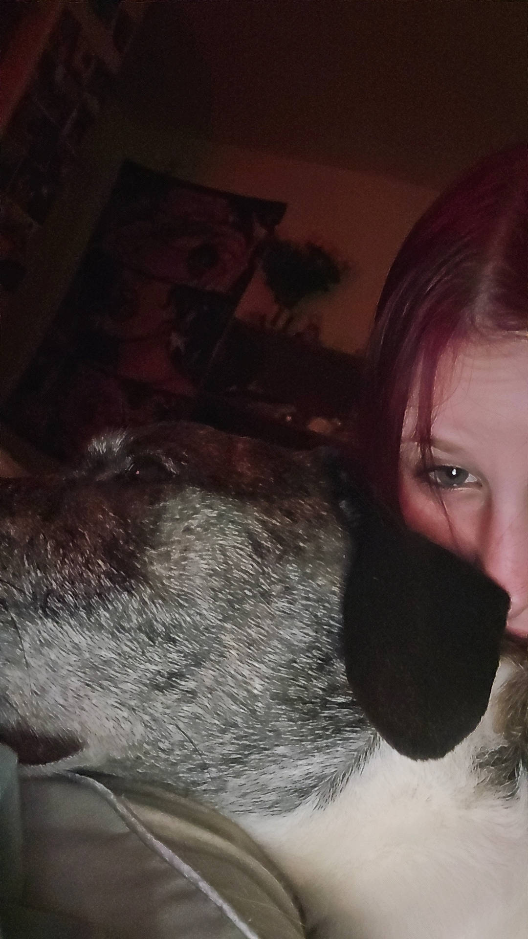 Bowser joined the competition — help win amazing prizes! beard, black_hair, brown_hair, comfort, darkness, ear, eyebrow, eyelash, facial_hair, flash_photography, fun, fur, jaw, lip, mouth, nose, selfie, snout, tints_and_shades, whiskers