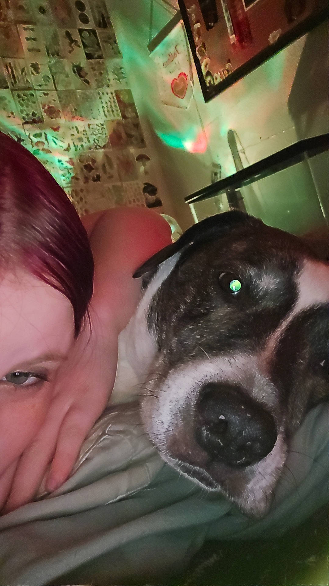 Bowser is registered to the contest to win money with this photo: bathing, carnivore, chest, companion_dog, dog, dog_breed, ear, eyelash, fawn, fun, gesture, happy, iris, jaw, nose, selfie, snout, sporting_group, whiskers, working_animal