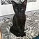 Salem
