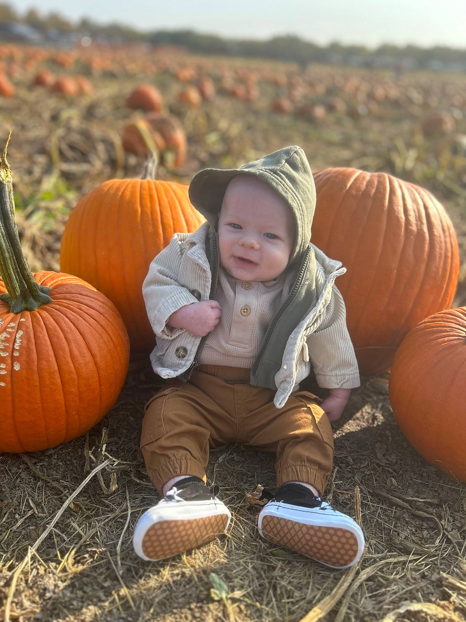 Kaspian is registered to the contest to win money with this photo: adaptation, calabaza, child, cucurbita, face, facial_expression, gourd, grass, happy, headwear, jeans, landscape, natural_foods, people_in_nature, person, plant, pumpkin, sky, squash, vegetable