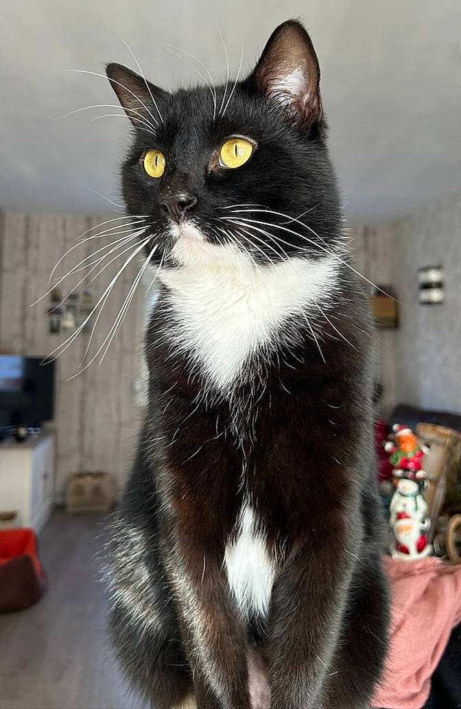 Oscar De La Campagne