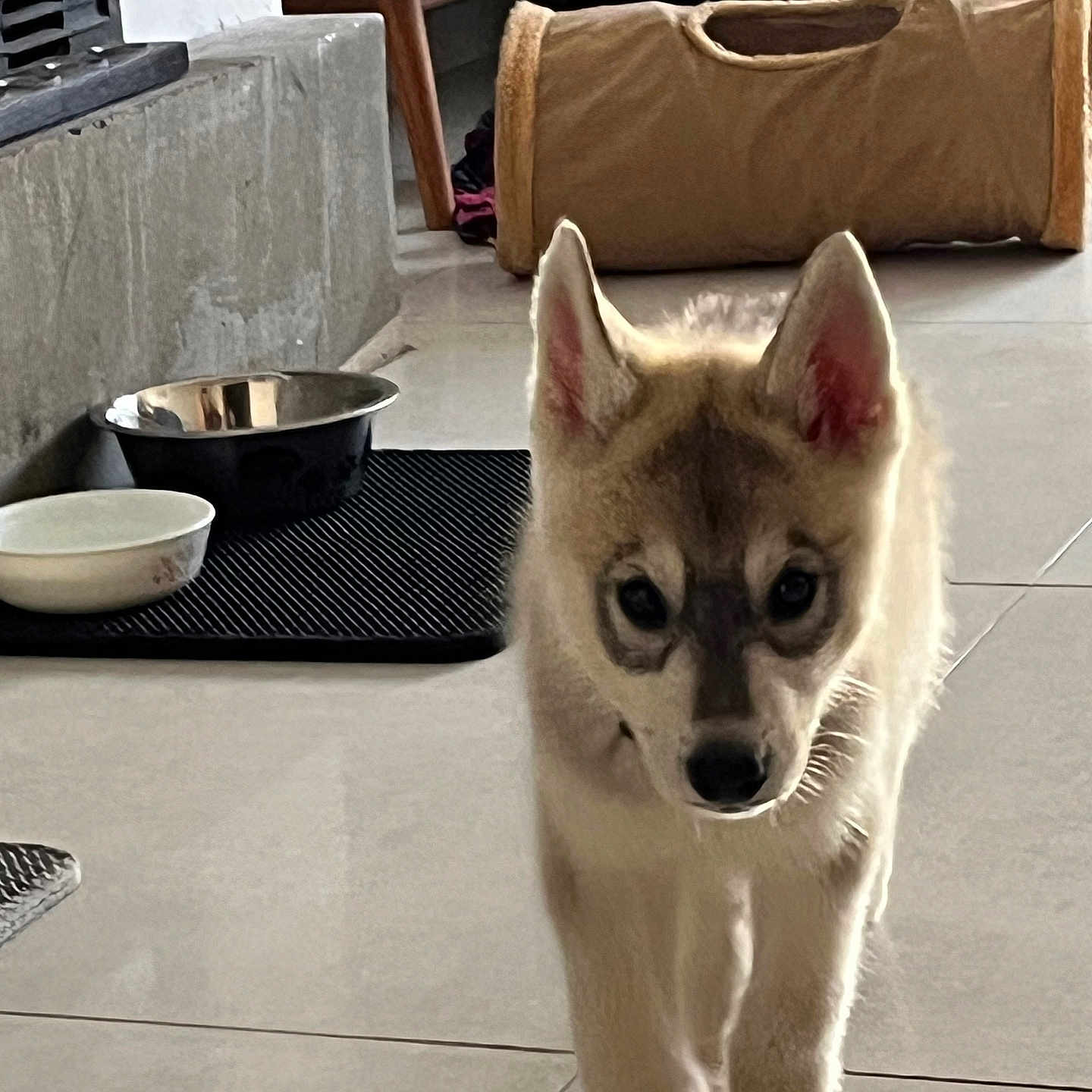 Odin