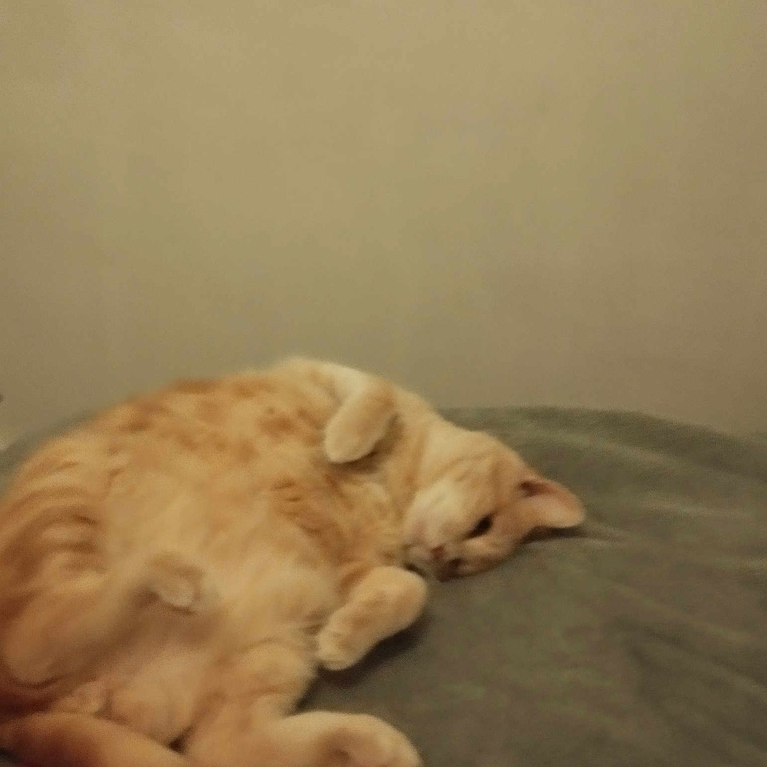 Caramel