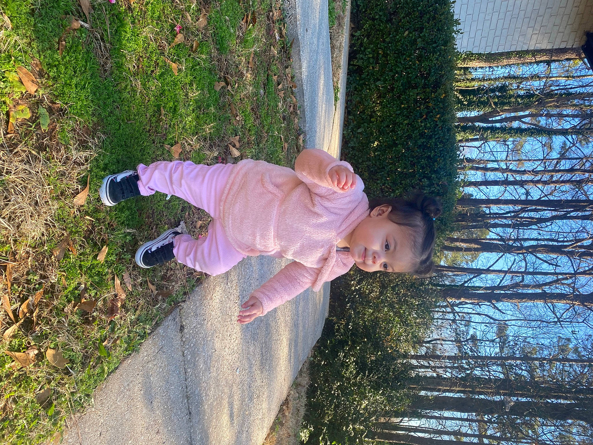 Maite joined the competition — help win amazing prizes! baby, baby_toddler_clothing, child, conifer, fir, fun, grass, happy, leisure, people_in_nature, person, plant, shadow, smile, tints_and_shades, toddler, tree, trunk, winter