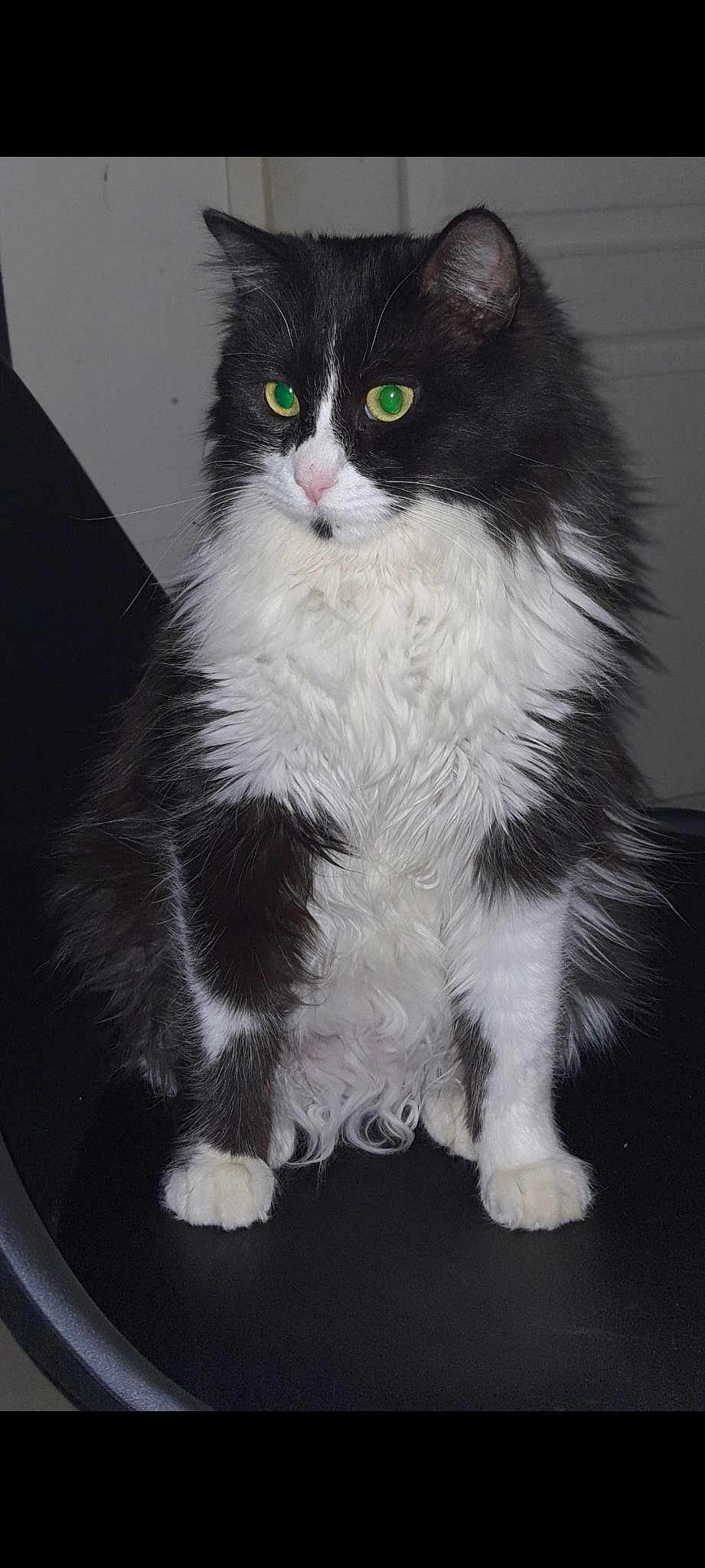 Lili