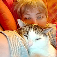 Bonaparte a rejoint le concours — aidez-le/la à gagner de superbes lots ! blanket, cat, closeup, companion, couch, cozy, furniture, home, indoor, orange, person, portrait, relaxed, resting, sleepy, snuggling, sweater, tabby_cat, warm_lighting, white_cat