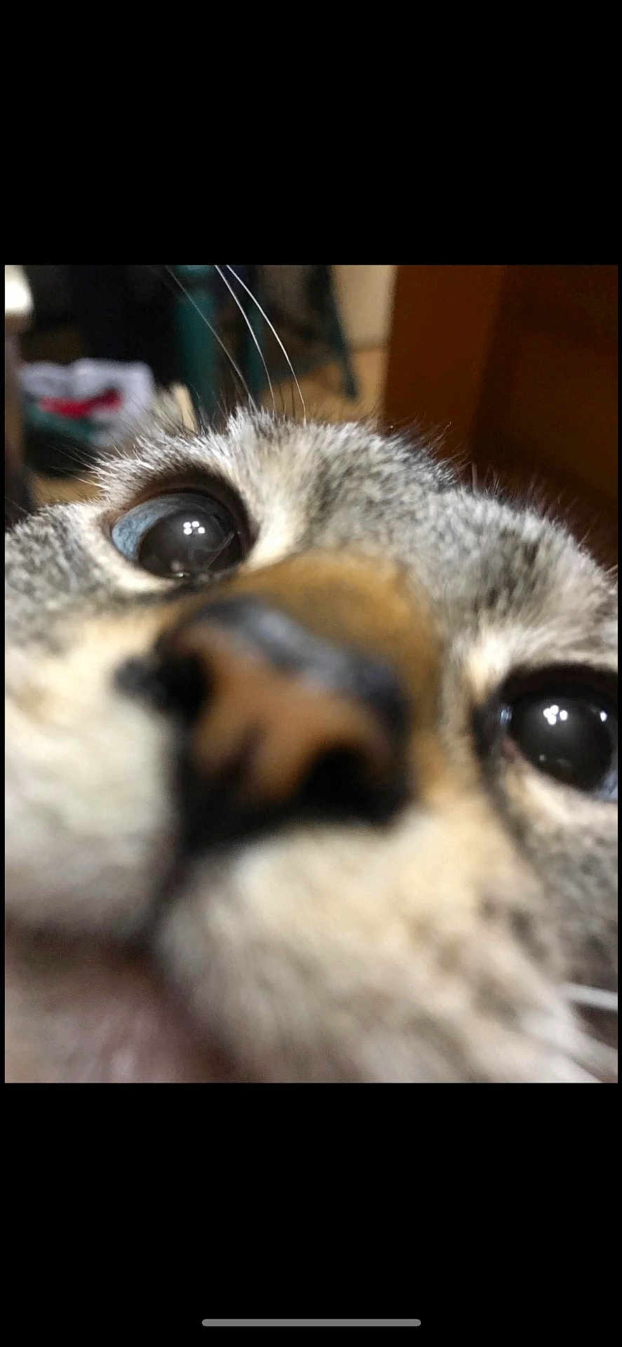 Kiki