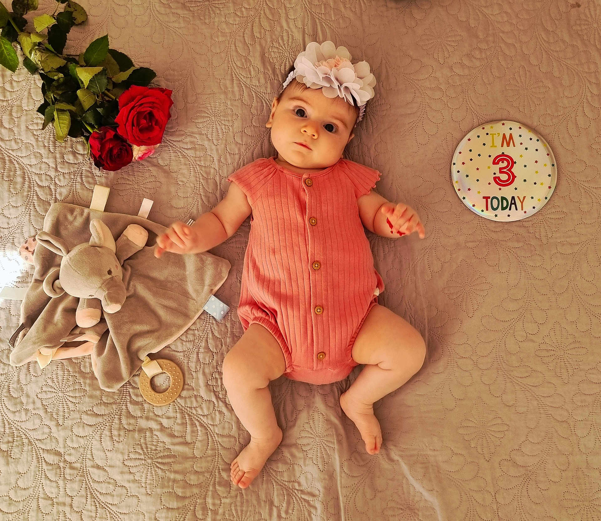 Ariana is registered to the contest to win money with this photo: baby, infant, flower_headband, coral_romper, plush_toy, elephant_toy, wooden_teether, red_roses, quilted_bedspread, birthday_badge, milestone, lying_down, cute, child, portrait, baby_boy, baby_girl, soft_lighting, indoor, celebration