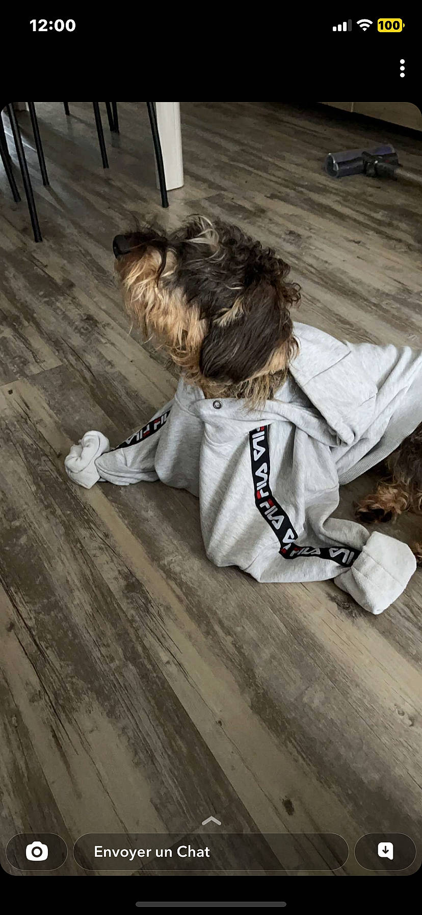 Shawn participe au concours pour gagner de l'argent avec cette photo : companion_dog, costume, flooring, fun, fur, happy, hardwood, human_leg, japanese_martial_arts, karate, laminate_flooring, leisure, martial_arts, martial_arts_uniform, sitting, sports_uniform, toddler, uniform, wood, wood_flooring