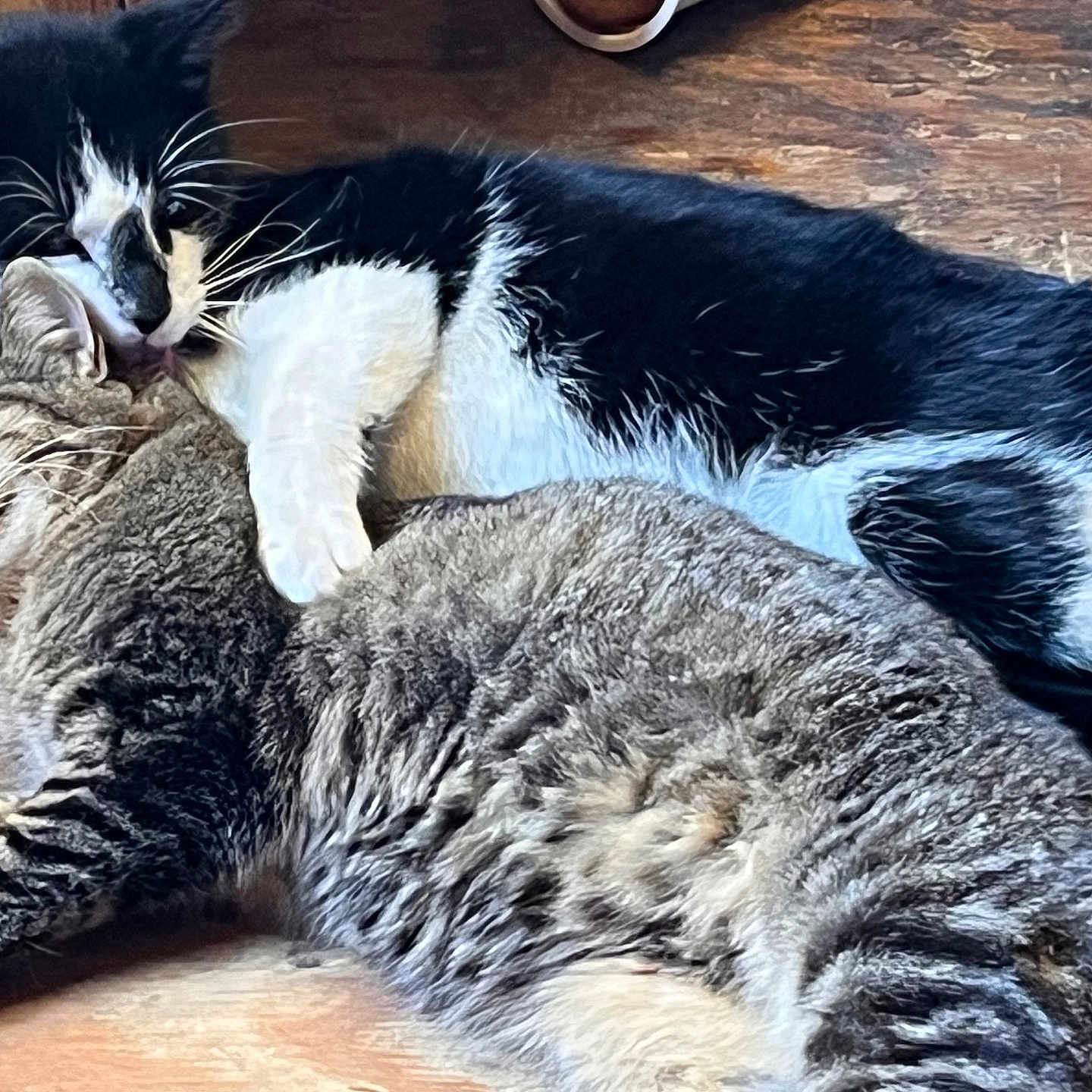 Mama Stripes