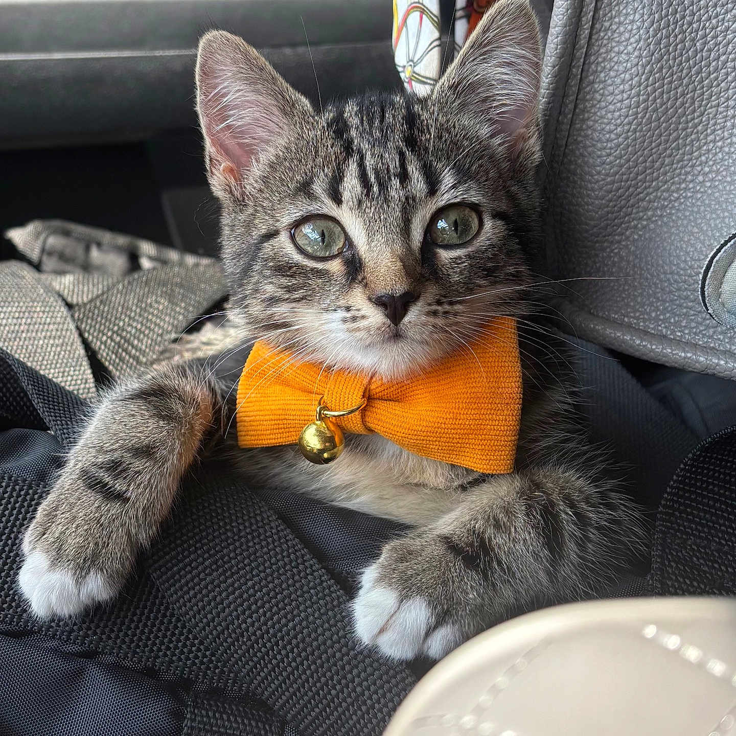 Leo
